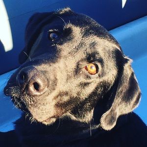 Meet your Posher, Mia